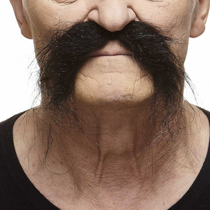 Fu Manchu Mustache