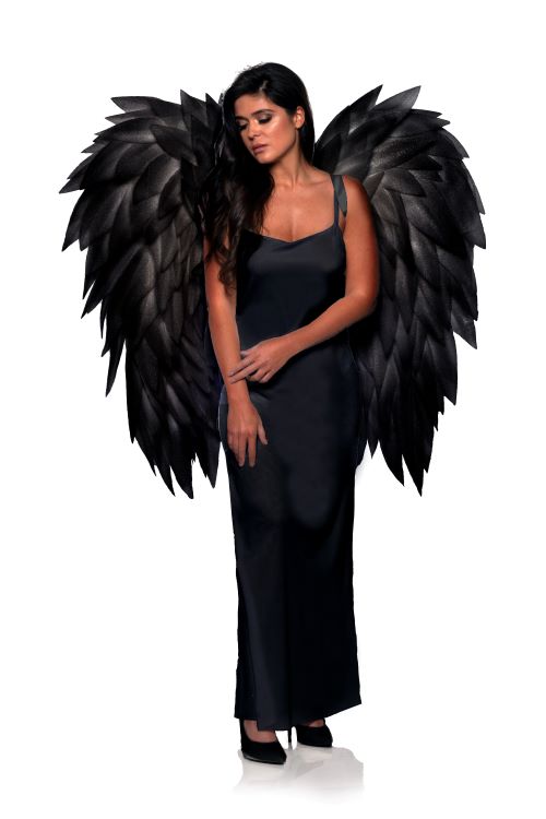 Plus Size Women's Fallen Angel Costume