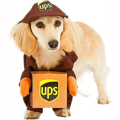 UPS Delivery Pet