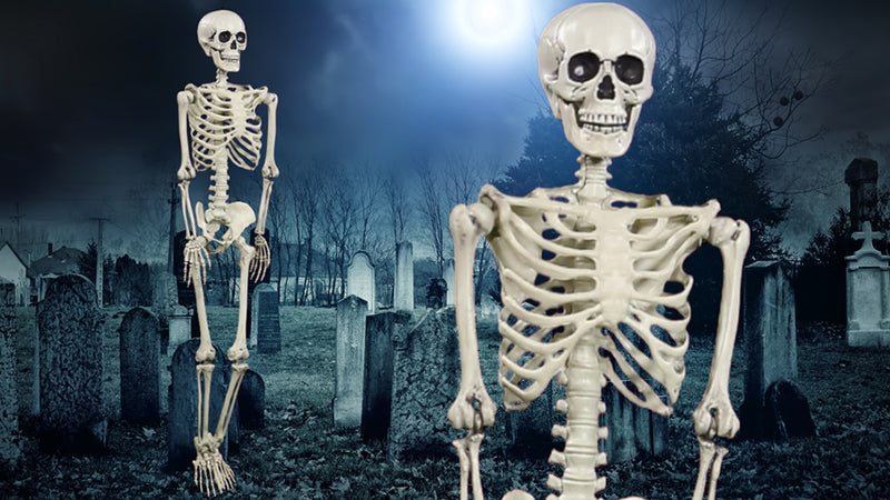 Skeletons