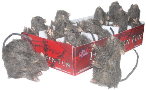 Rodents & Bugs