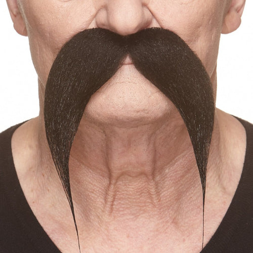 Kung Fu Master Long Droopy Pointed Mustache