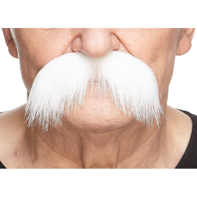 Long Mustache