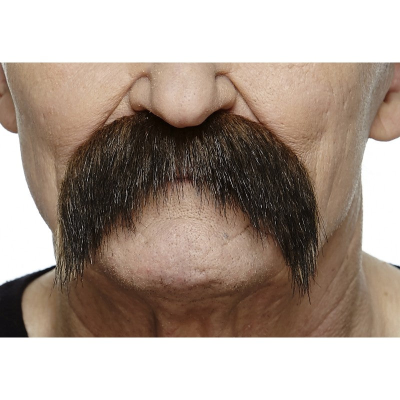 Long Mustache