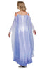 Snow Queen Elsa Deluxe Adult