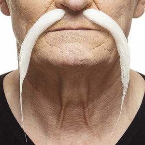 Chinese Mustache