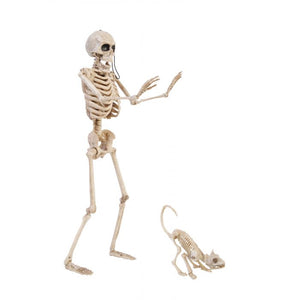 14" Skeleton Walker and Pet