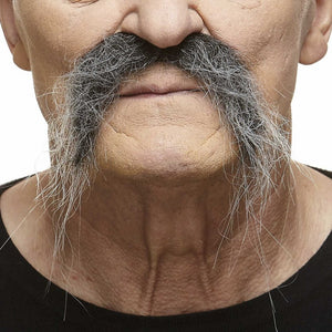 Fu Manchu Mustache