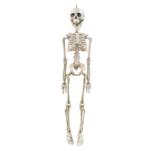 20in Skeleton