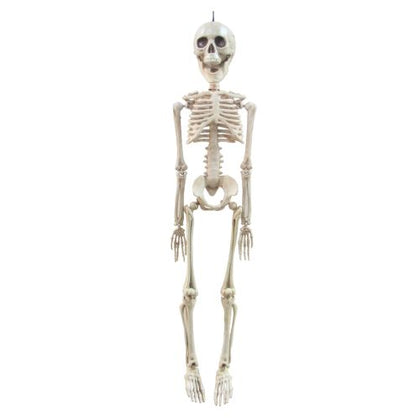 20in Skeleton