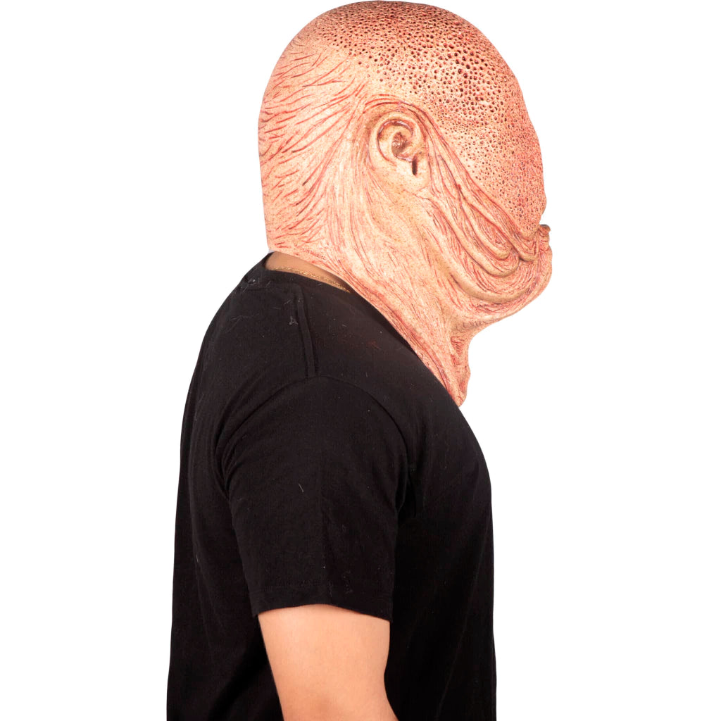 Sir Thomas Mask with Neck