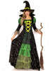 3 PC Storybook Witch Costume