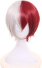 Shoto Todoroki Wig