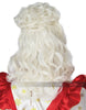 MRS. CLAUS WIG AND BUN CLIP