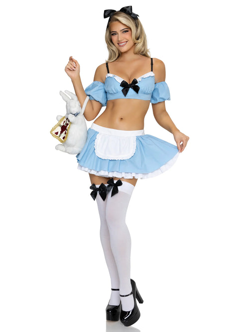 Wonderland Alice Costume