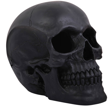 Realistic Skull - Black