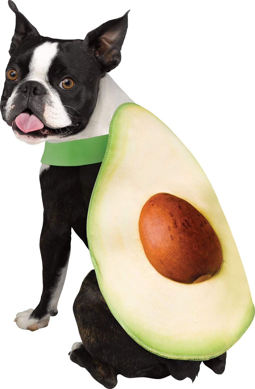 Avocado Pet Costume