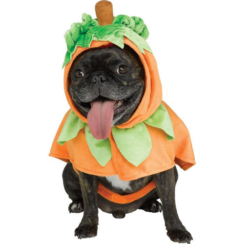 Dog Costume Pumpkin Poncho (Clearance)