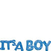 IT'S A BOY BLUE BLOCK PHRASE