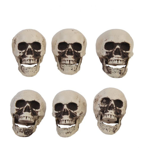 Bag of 6 Skulls (2.5")