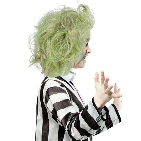 Beetlejuice Kids Wig