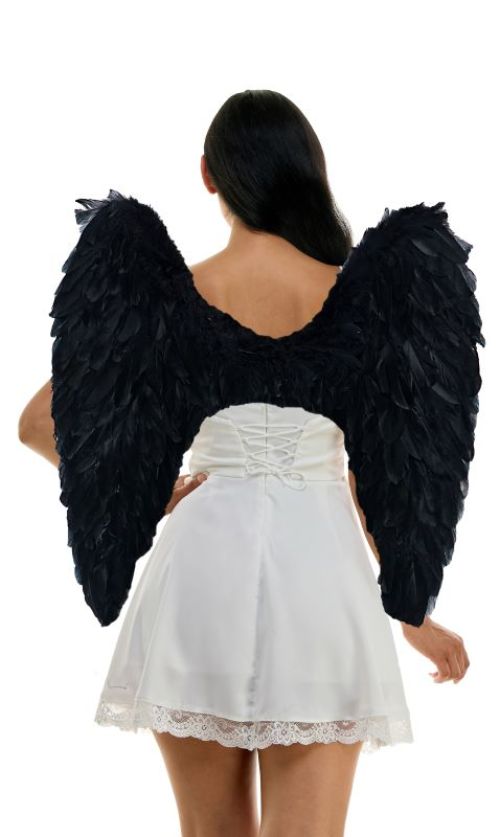 Black Feather Wings
