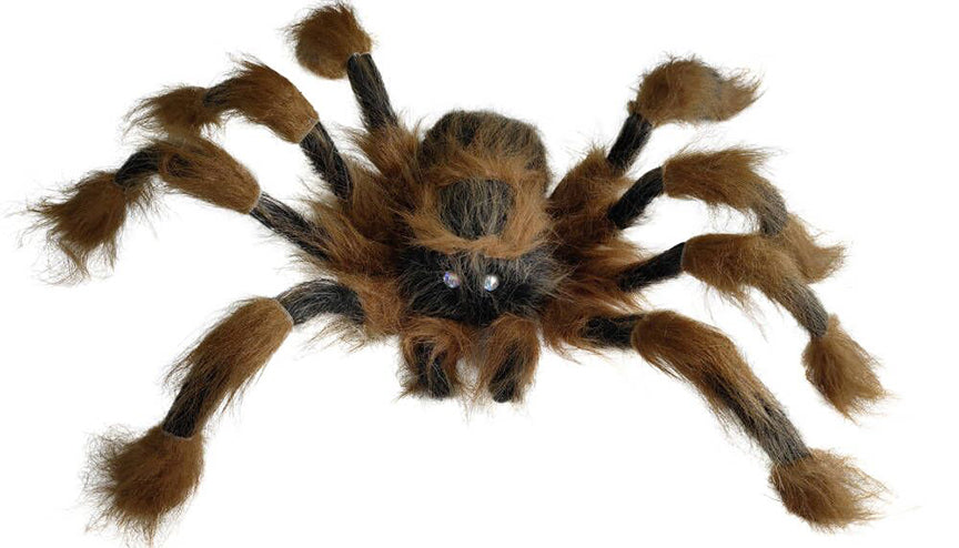 Brown Spider 36"