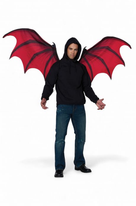 Vampire Demon Cosplay Wings