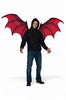 Vampire Demon Cosplay Wings