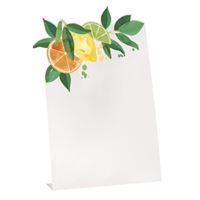 Citrus Fruit Place Cards  6ct