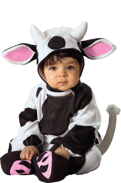 Cozy Cow