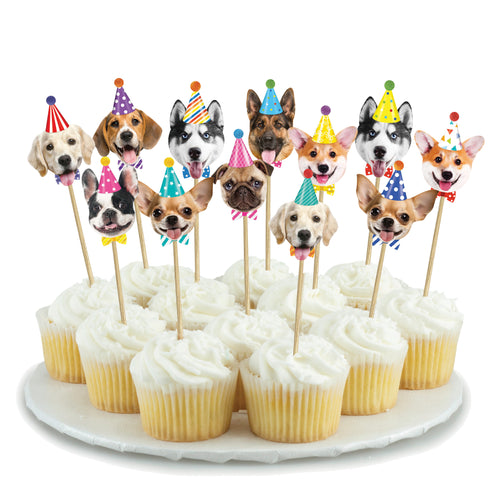 Cupcakes with dog-themed cake toppers on a white plate