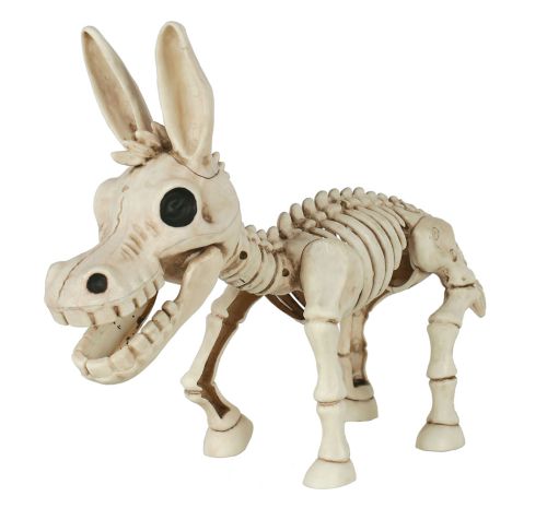 Donkey Skeleton 10in