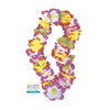 Fancy Lily Rainbow Lei 40