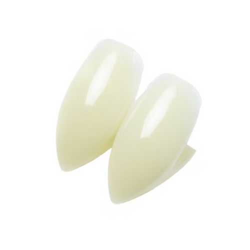 Pair of white plastic cups on a white background