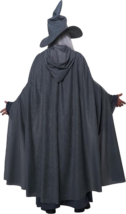 A person wearing a dark gray wizard costume, viewed from the back. The costume includes a pointed wizard hat, a long draped cape, and a long gray wig.