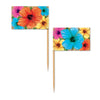Hibiscus Picks 50ct
