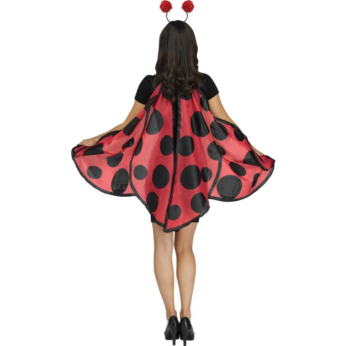 Lady Bug Wing & Headband