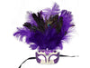 Purple Feather Mask