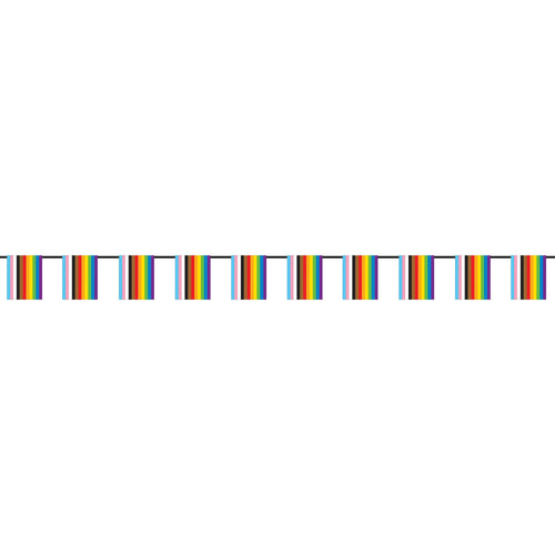 Progressive Mini Flag Banner