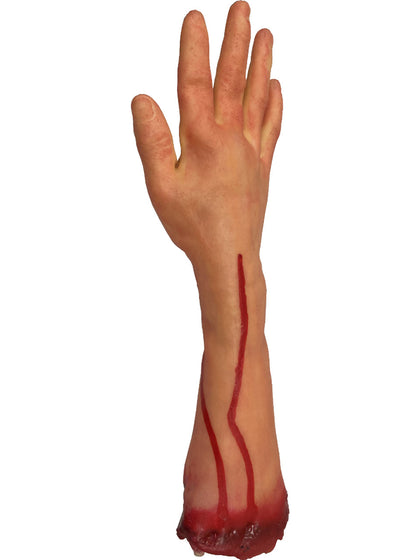 Gore-tastic severed arm prop with a visible cut on a white background