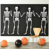 Skeleton 3 Piece Back Drop & Add-Ons