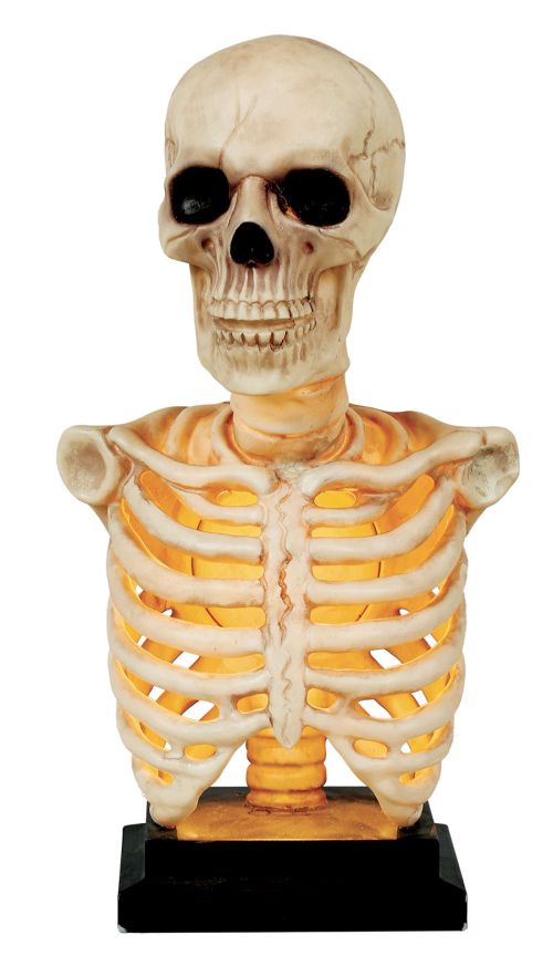 Skeleton Bust Light Up  & Sound 16in