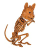 Skeleton Mouse with Pumpkin Face