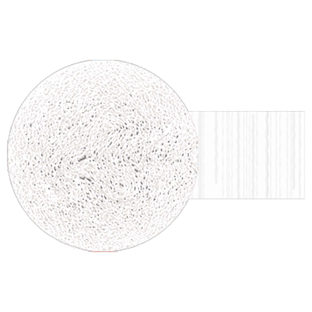 Round white object with textured surface on a white background