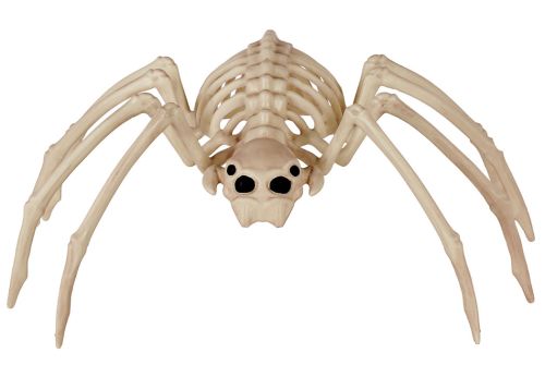 Spine Chilling Spider 20"