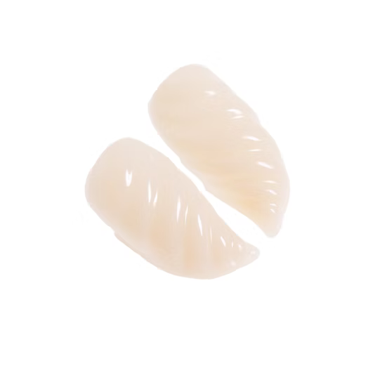 Two small, curved, off-white translucent pieces with a glossy finish, shown on a plain white background.