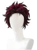 Tanjiro Kamado Wig and Earrings