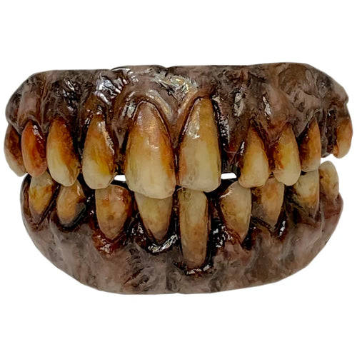 Worn dentures on a white background