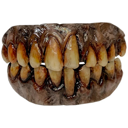 Worn dentures on a white background